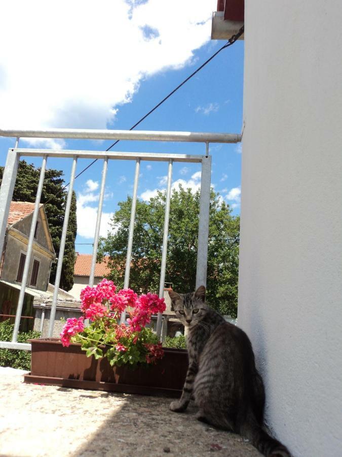 Apartment Lordanic Zaglav, Dugi Otok Extérieur photo