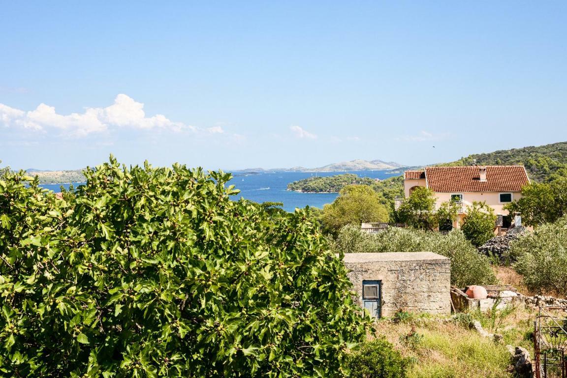 Apartment Lordanic Zaglav, Dugi Otok Extérieur photo